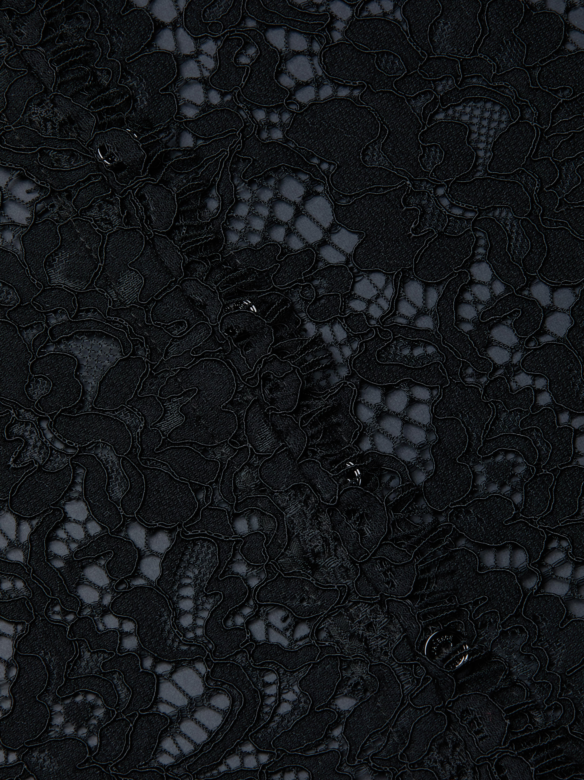 Close-up of the Anita Lace Blouse’s intricate black lace fabric, featuring a delicate floral pattern, detailed stitching, and mesh accents, with a scalloped hem and a subtly sheer background.