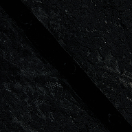 Close-up of the Dorothea Velvet Lace Blouse in black, showcasing Chantilly lace fabric with a dark, velvety strip running diagonally across its textured surface. The blouse features delicate, intricate lace patterns accented with velvet seams.
