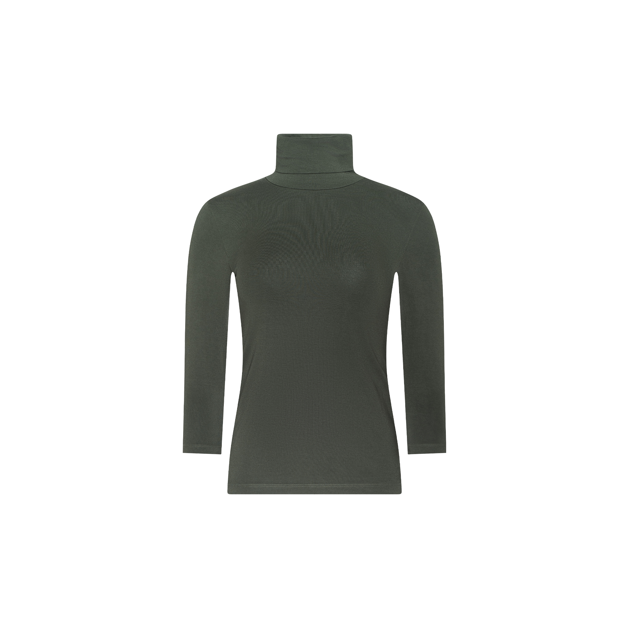 The Aja Turtleneck is a dark green, long-sleeve, slim-fit top crafted from soft knit fabric and displayed on a plain white background.