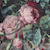 A close-up of pink roses with lush green leaves, some petals slightly wilted, creating a soft, vintage, and romantic floral scene.