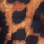 Close-up of a leopard print pattern with black spots on a background of golden brown and tan fur.
