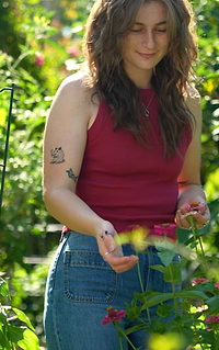 Vego Garden Video Banner