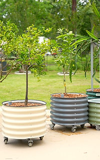 Vego Garden Video Banner