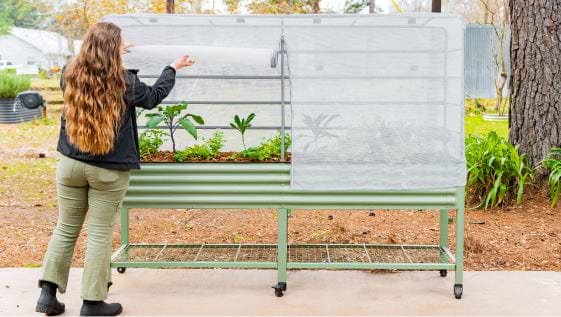Elevate Your Garden