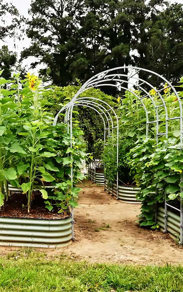 Vego Garden Video Banner