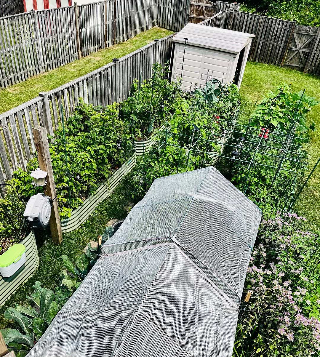Vego Garden Image