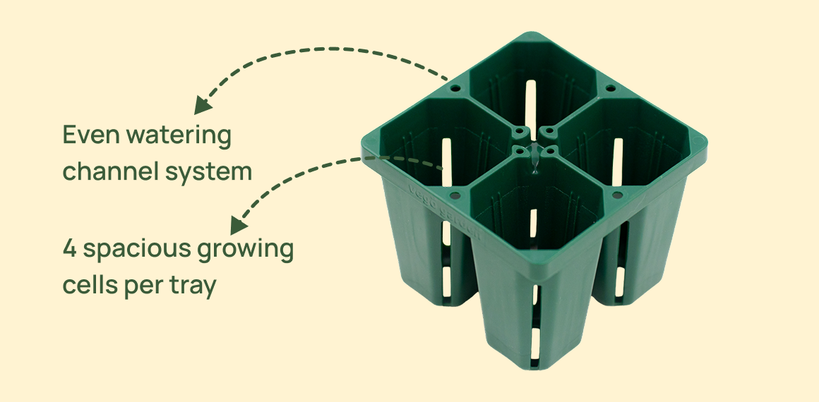 Vego garden beds