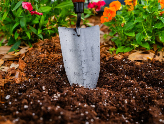 Vego garden beds