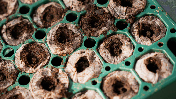 Vego garden beds