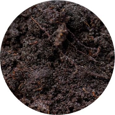 Vego garden beds