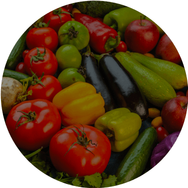 Vego garden beds