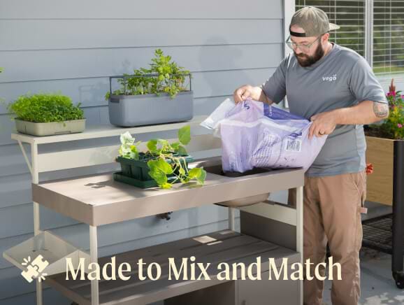 Vego garden beds