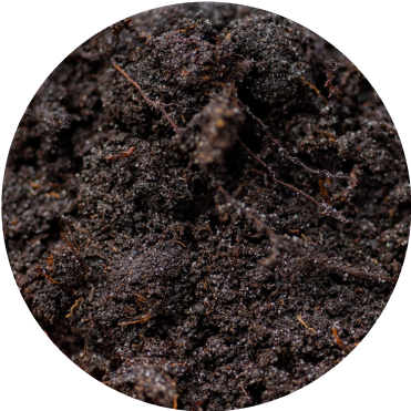 Vego garden beds
