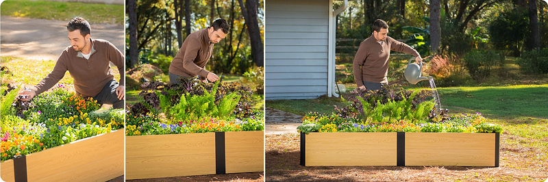 Your Garden, Reimagined