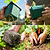 Seed Strating | Veog Garden