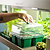 Seed Strating | Veog Garden