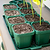 Seed Strating | Veog Garden
