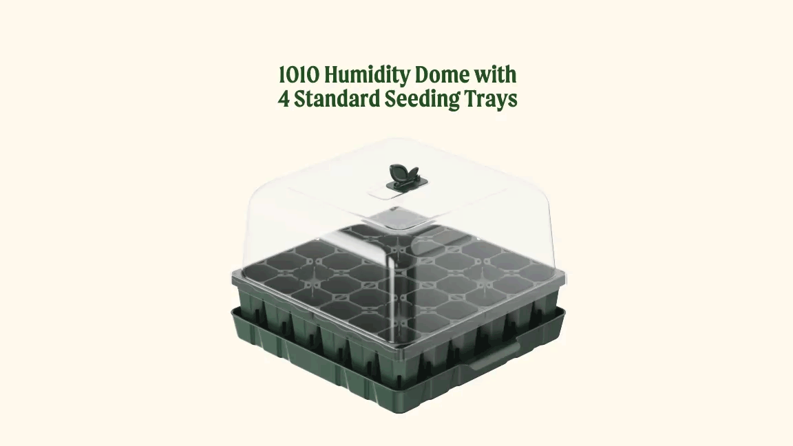 Vego garden beds