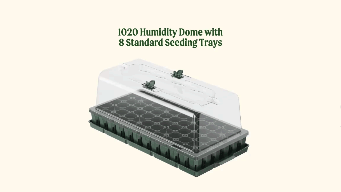 Vego garden beds