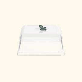 Vego garden beds