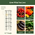 FlexGrow™ Modular 3-Panel Tomato Cage System - 11.5 | Vego Garden | Vego Garden