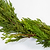 25 ft. Cedar Garland | Vego Garden