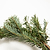 25 ft. Fraser Fir Garland | Vego Garden