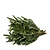 Holiday Bough Bundles | Vego Garden