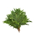 Holiday Bough Bundles | Vego Garden