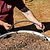 Main Hose for Irrigation Kit - 40ft