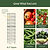 FlexGrow™ Tomato Cage - 16.5" Square | Vego Garden | Vego Garden