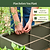 17" Tall Modern Metal Raised Garden Bed  | Vego Garden