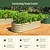 Vego Garden Rasied Classic Garden Bed
