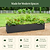 17" Tall Modern Metal Raised Garden Bed  | Vego Garden