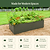 17" Tall Modern 3& | Vego Garden