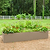 17" Tall Modern Metal Raised Garden Bed  | Vego Garden