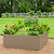 17" Tall Modern Metal Raised Garden Bed  | Vego Garden