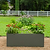 17" Tall Modern Metal Raised Garden Bed  | Vego Garden