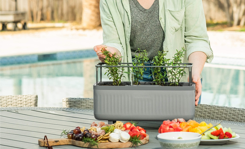 Vego garden beds
