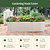 Vego Garden Rasied Classic Garden Bed