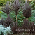 Bauer& | Vego Garden