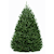 6 ft. Fraser Fir Tree (live cut) | Vego Garden