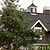 Norway Spruce | Vego Garden