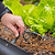 Branch Valve for Irrigation Kit | Vego Garden