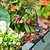 Branch Valve for Irrigation Kit | Vego Garden