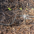 Branch Hose for Irrigation Kit – 20ft | Vego Garden