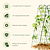 FlexGrow A-Frame Trellis Classic | Vego Garden