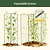 FlexGrow A-Frame Trellis Pro | Vego Garden | Vego Garden