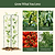 FlexGrow A-Frame Trellis Pro | Vego Garden | Vego Garden