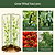 FlexGrow A-Frame Trellis ProMax | Vego Garden